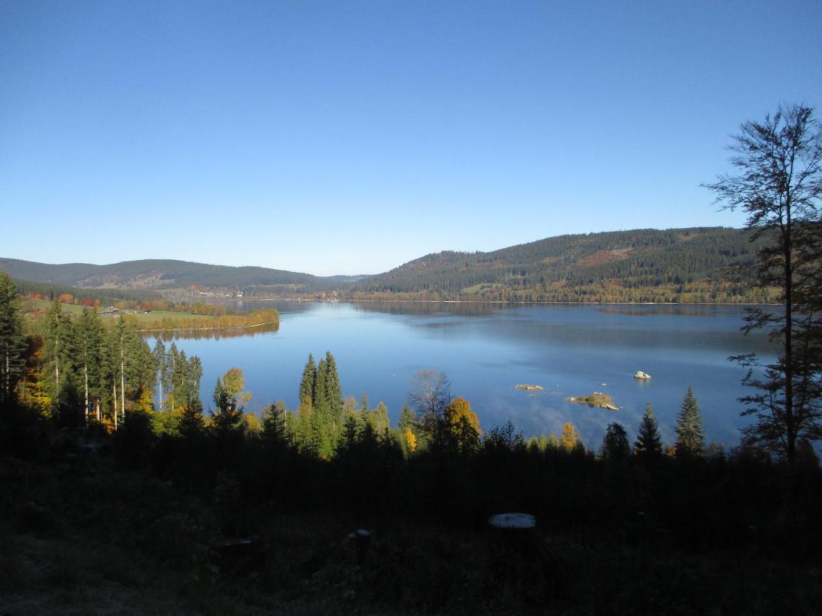 Haus Steininger Apartman Schluchsee Kültér fotó