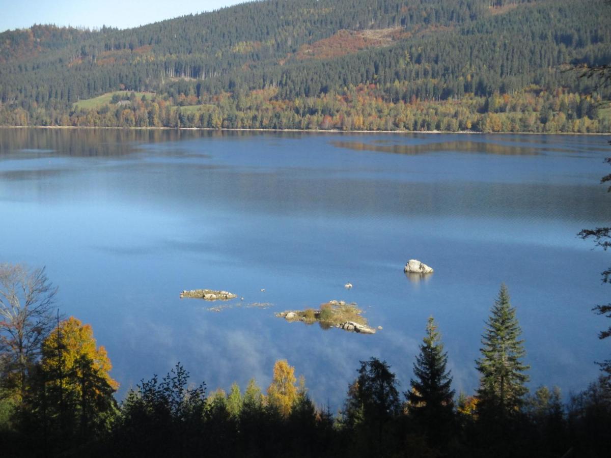 Haus Steininger Apartman Schluchsee Kültér fotó